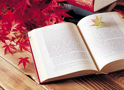 申論大作文如何得高分？申論大作文該怎么寫？