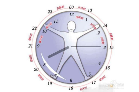 人的正常睡眠是多少個小時 科學的睡眠時間表