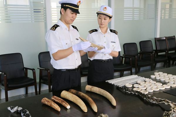 2019年國考報考海關(guān)系統(tǒng)公務(wù)員職位怎么樣？