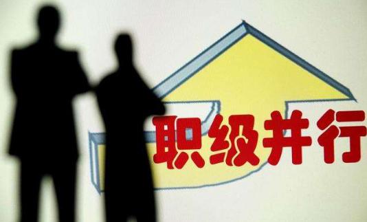 非領(lǐng)導(dǎo)職務(wù)轉(zhuǎn)為職級公務(wù)員后，待遇有何不同？
